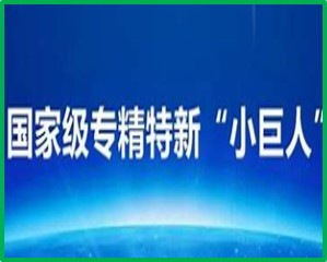 国家级专精特新小巨人企业